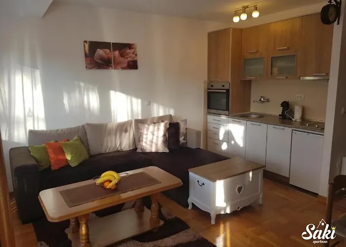 Διαμέρισμα Saki *